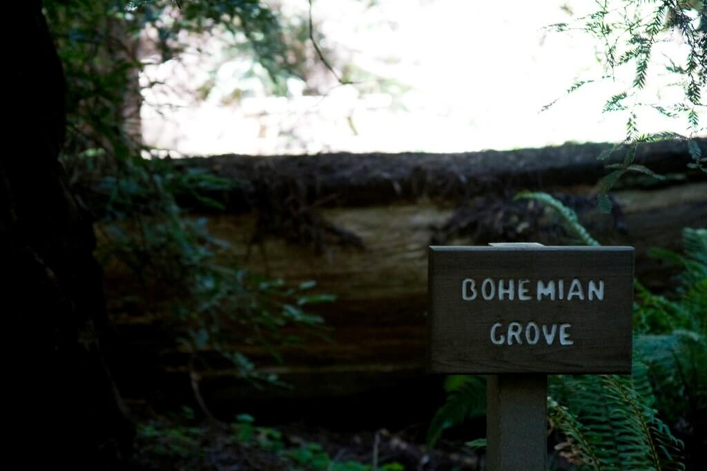 Bohemian Grove - Sueños viajeros