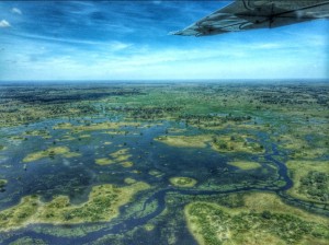 Imagen aérea del Delta del Okavango