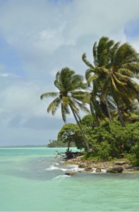 Palmeras junto al mar en Kiribati