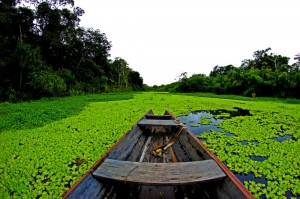 Canoa en medio de los ríos de la selva amazónica
