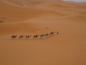 Viajera en una caravana en medio del desierto de Sahara