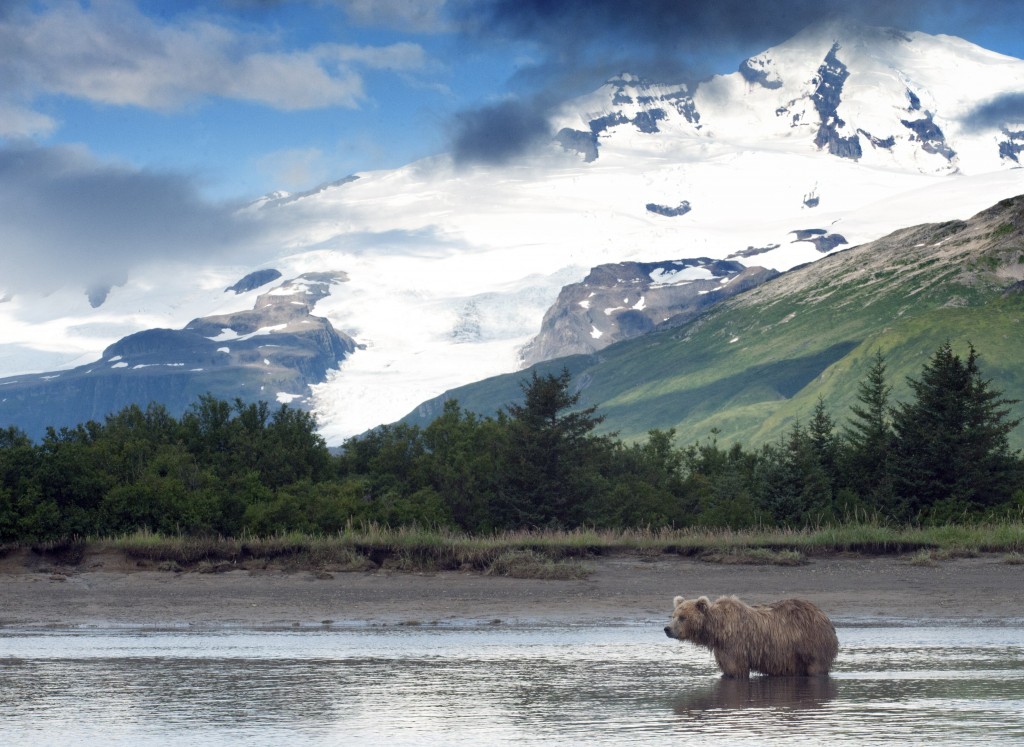 Vista panorámica de las montañas de Alaska y un oso