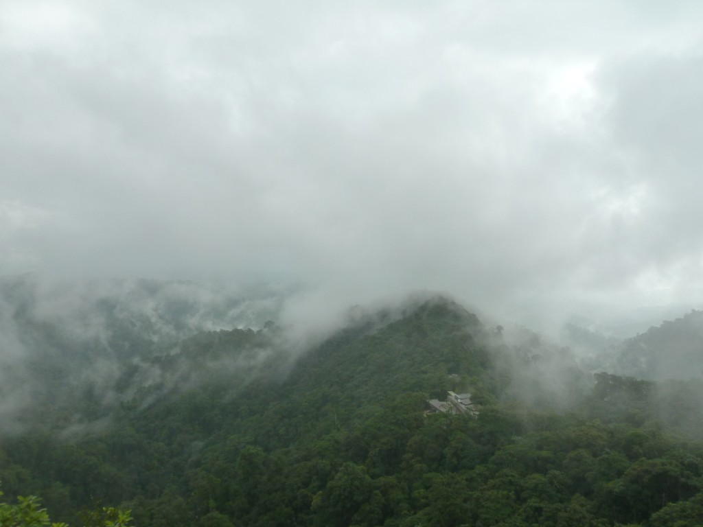 Bosque nuboso ecuatoriano