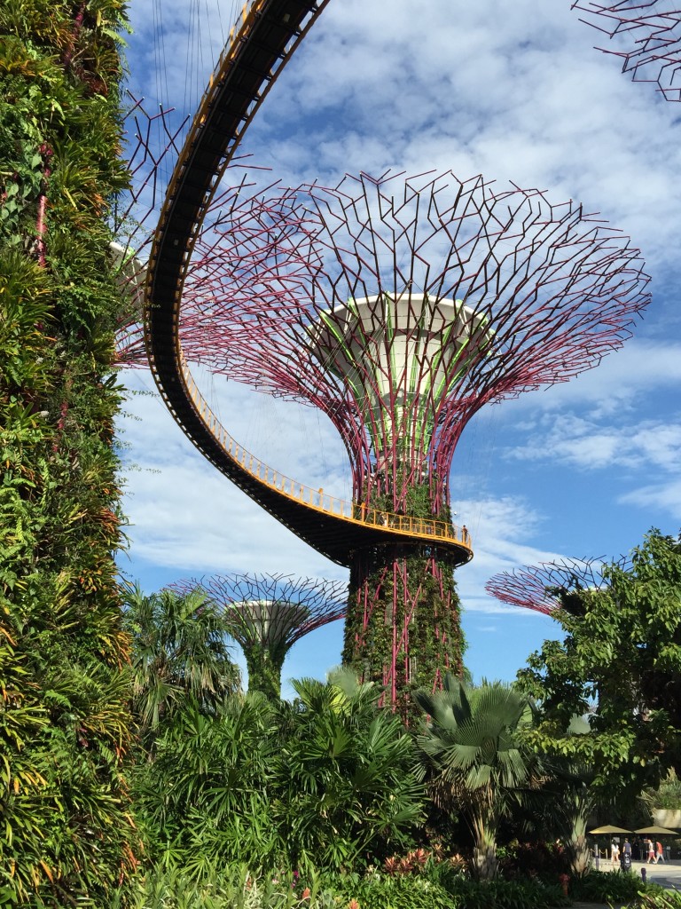Árboles metálicos del Sky Tree Park en Singapur