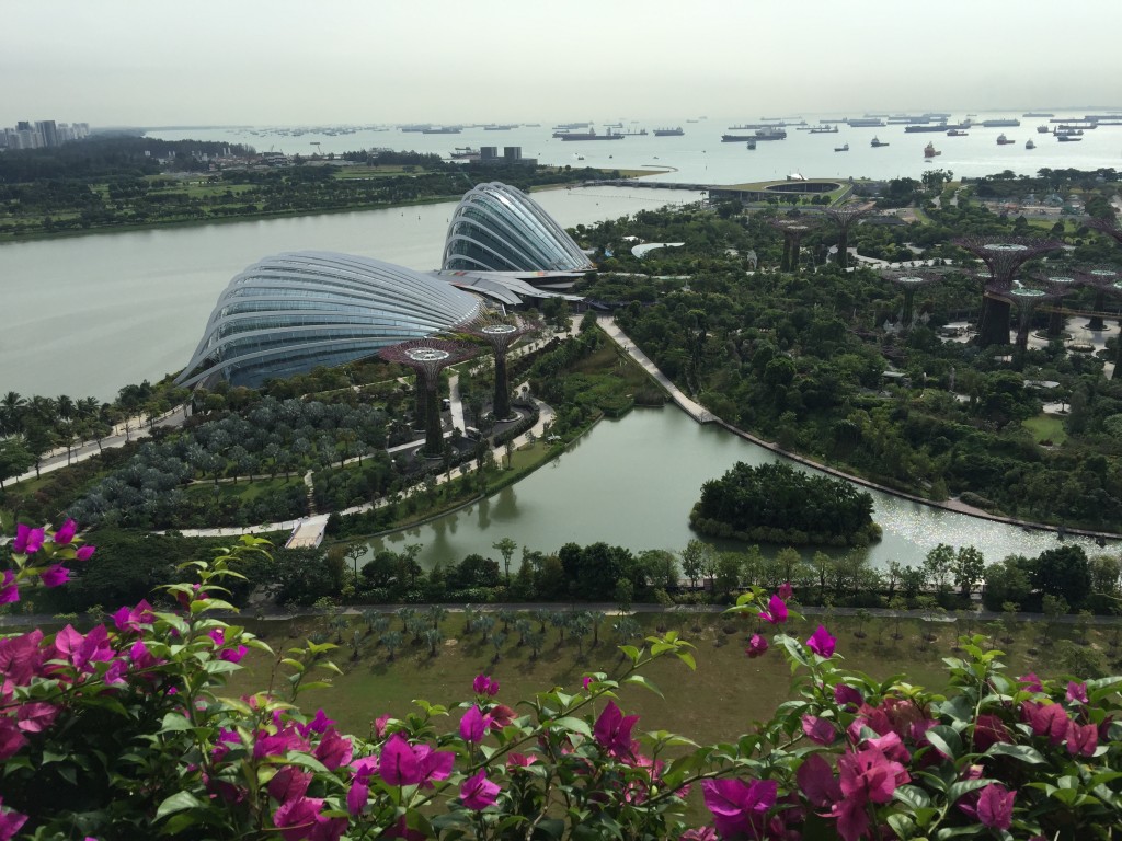 Vista panorámica de Singapur