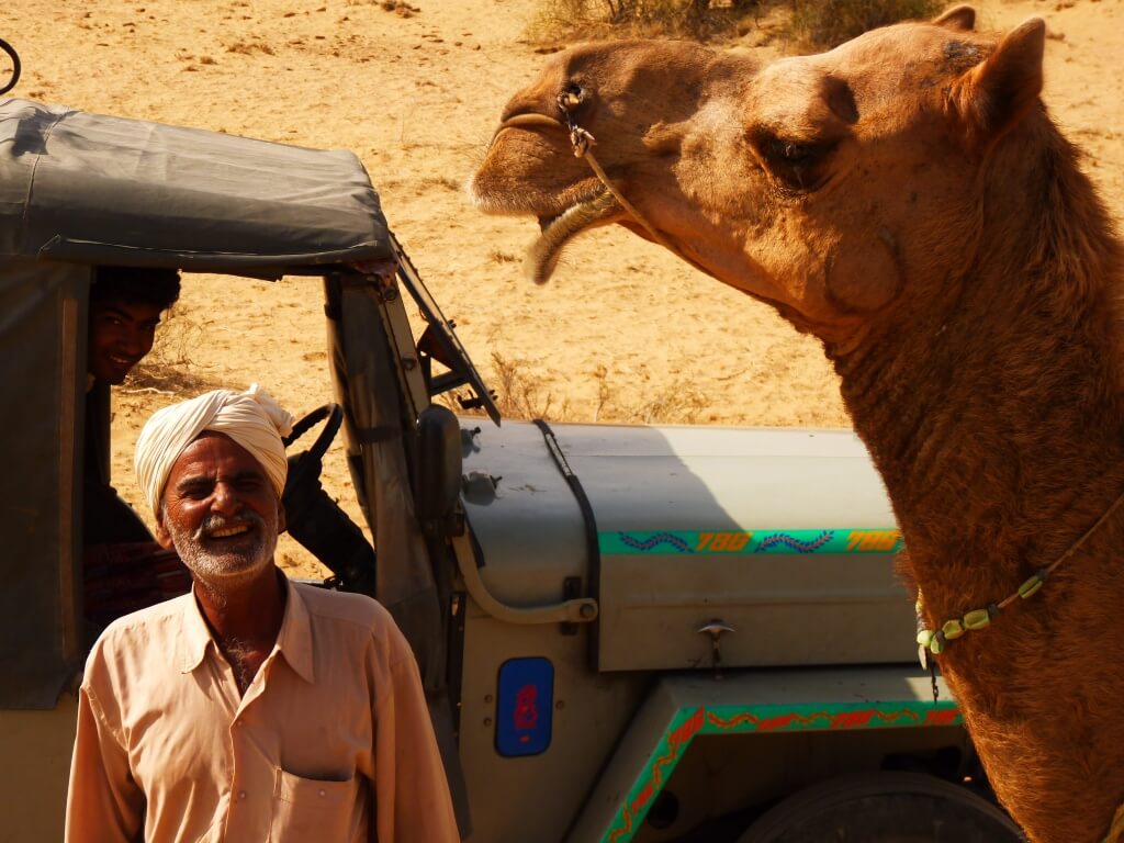 Camello en Jaisalmer