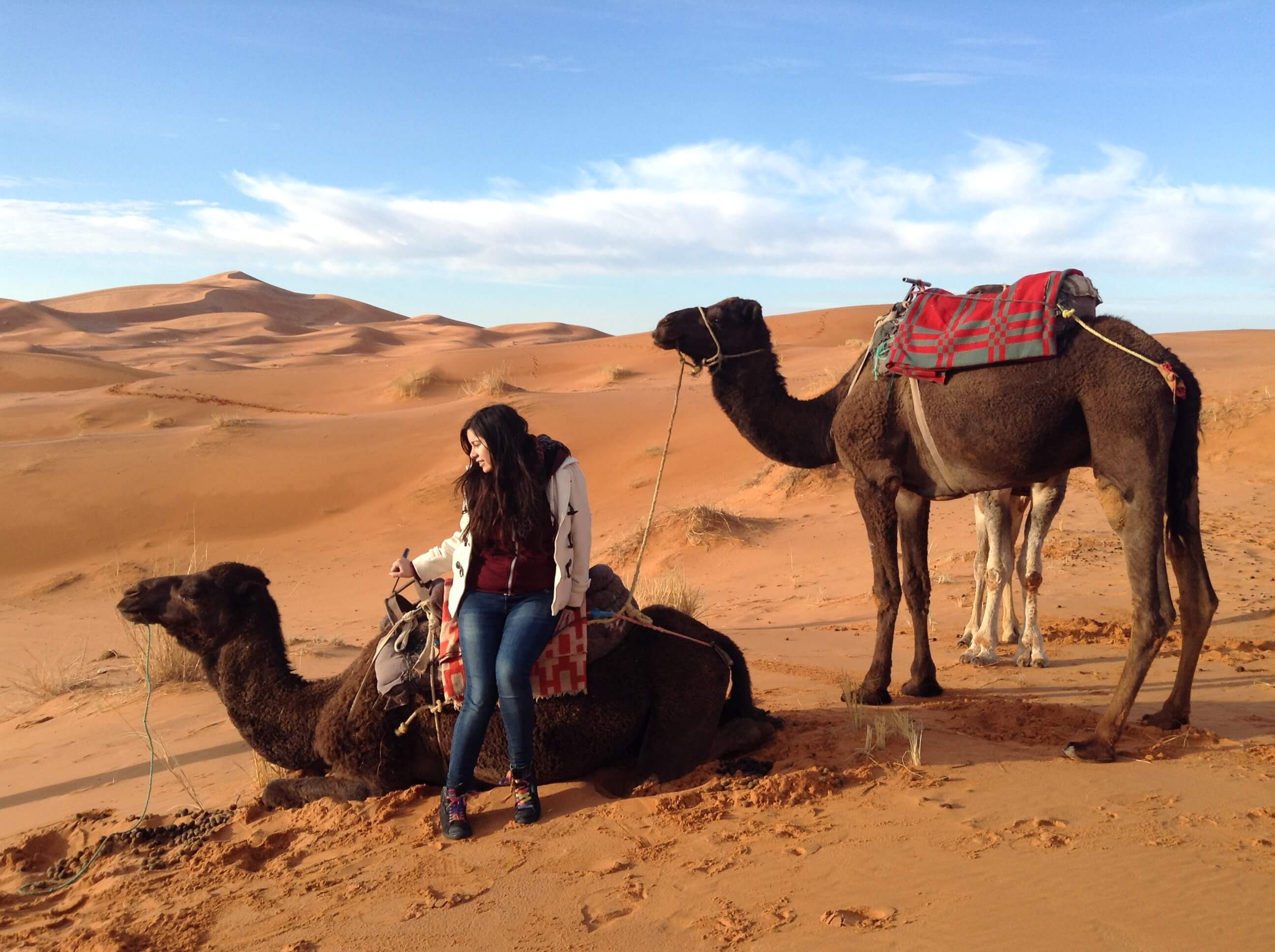 Desierto marroquí