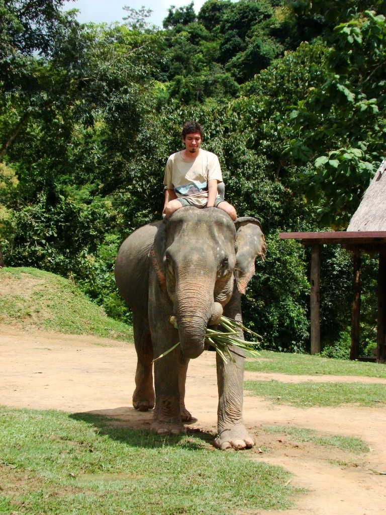 Arriba de un elefante en Laos