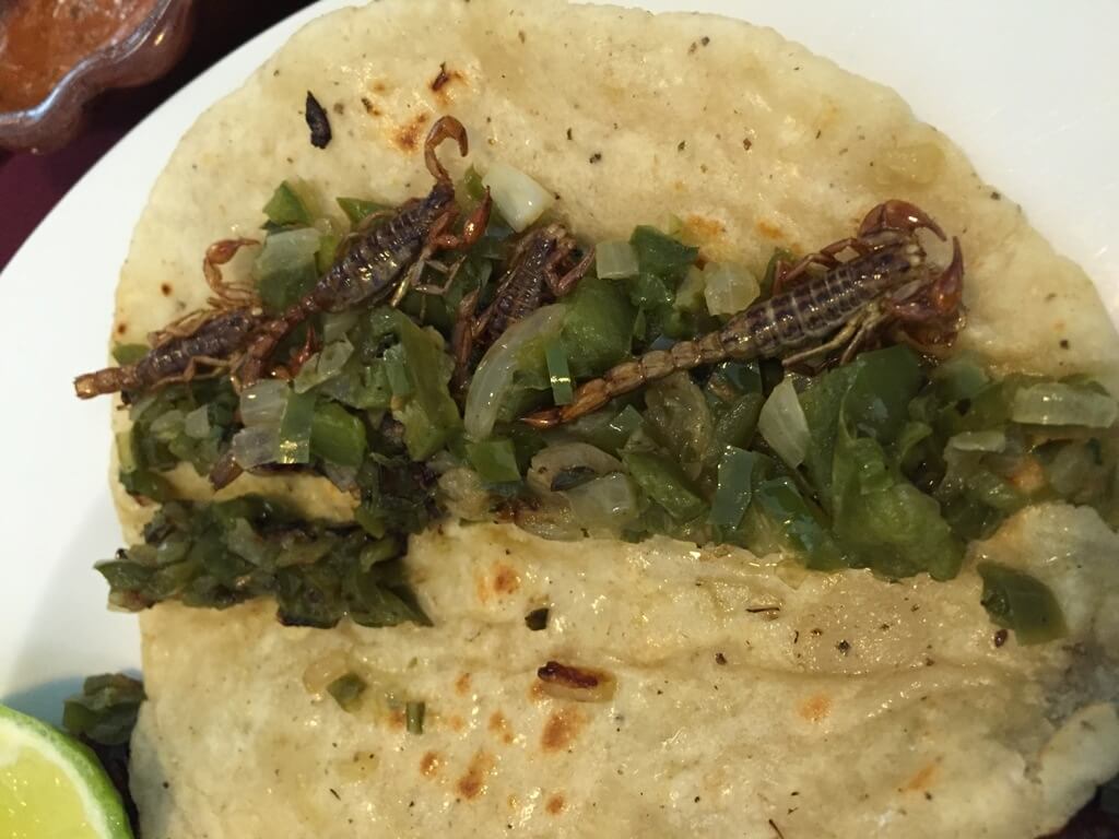 Taco con alacranes en Ciudad de México