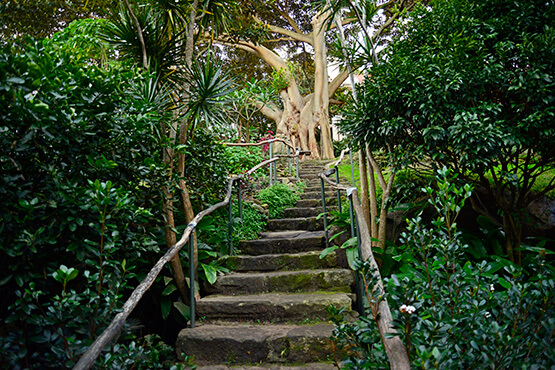 Wendy's Secret Garden, Sydney, Australia