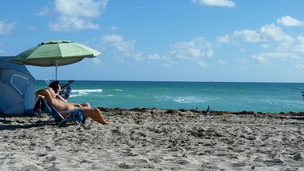 Haulover Nude Beach - Miami Beach, Florida, USA | US 