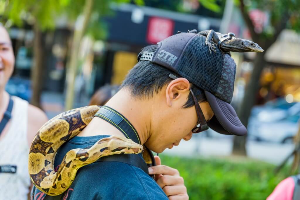 Hombre con una serpiente y una iguana
