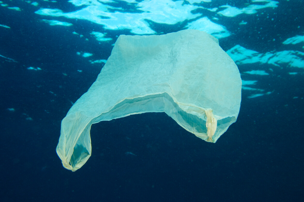 Bolsa plástica flotando en el mar