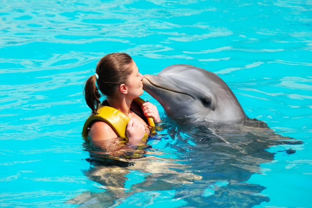 Mujer nadando con delfines