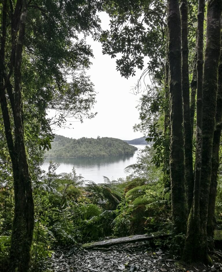 Sendero Maullín, Puyuhuapi, Chile