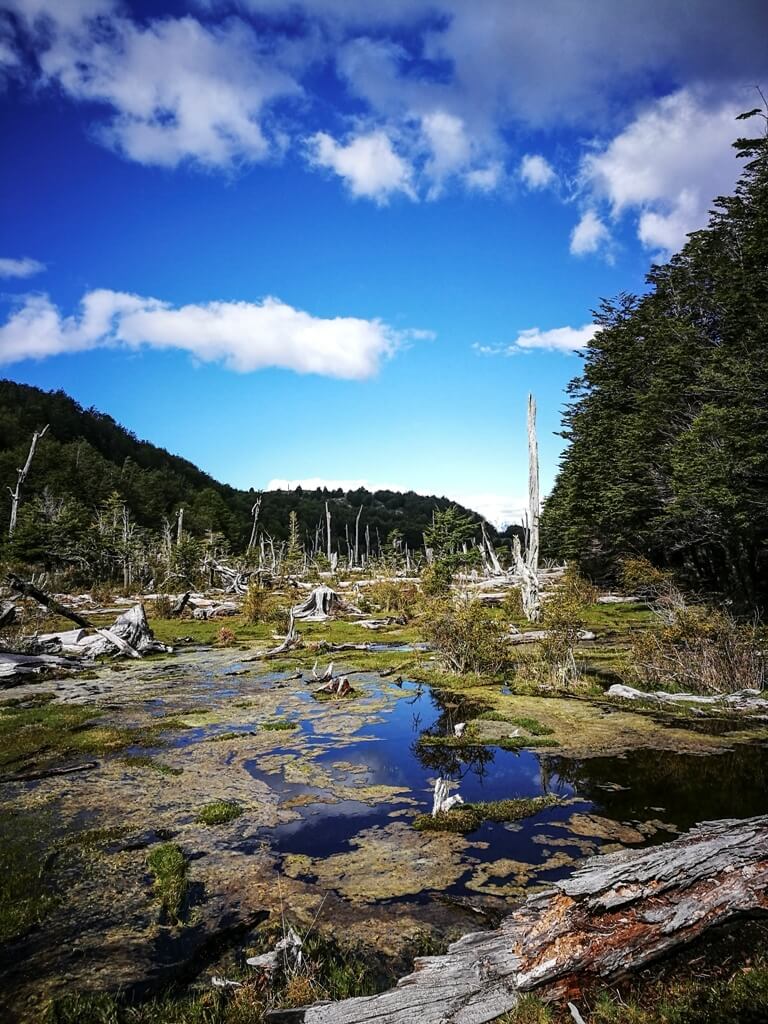 Puerto Río Tranquilo, Chile