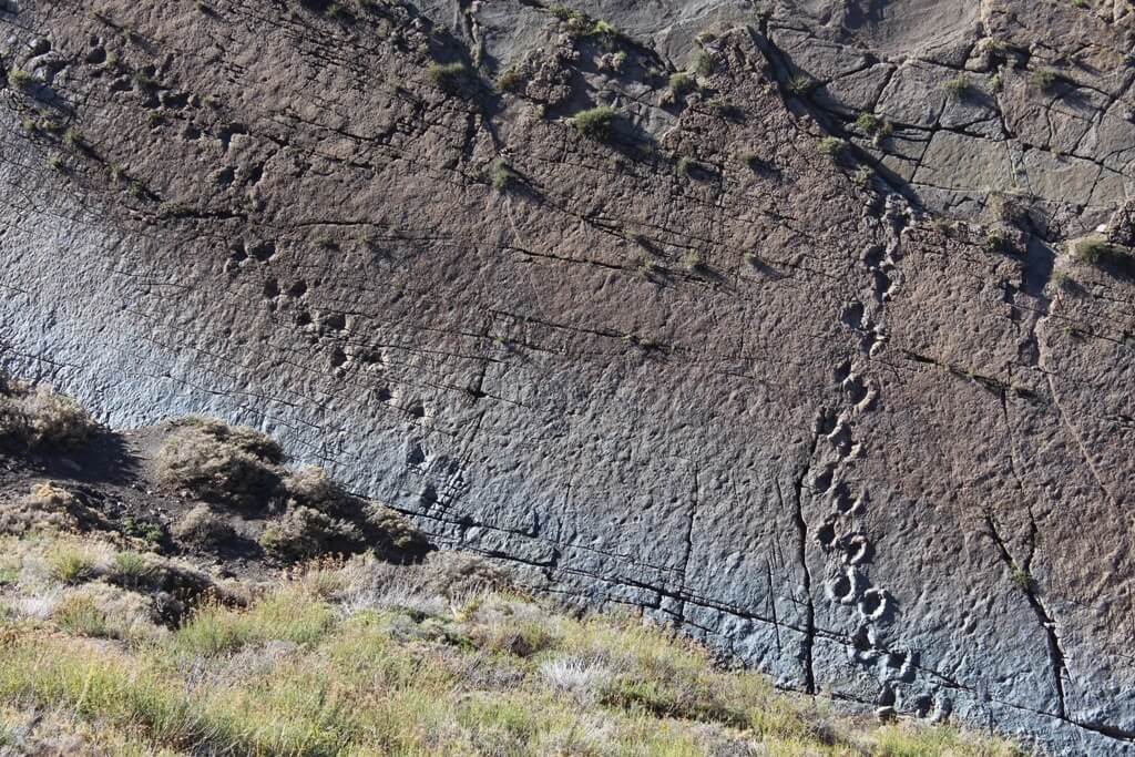 Huellas de dinosaurios en la cordillera de Los Andes, Chile