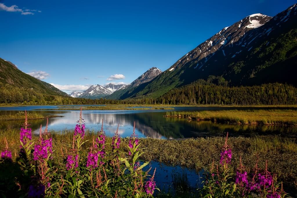 Parque Estatal Chugach, Alaska, Estados Unidos