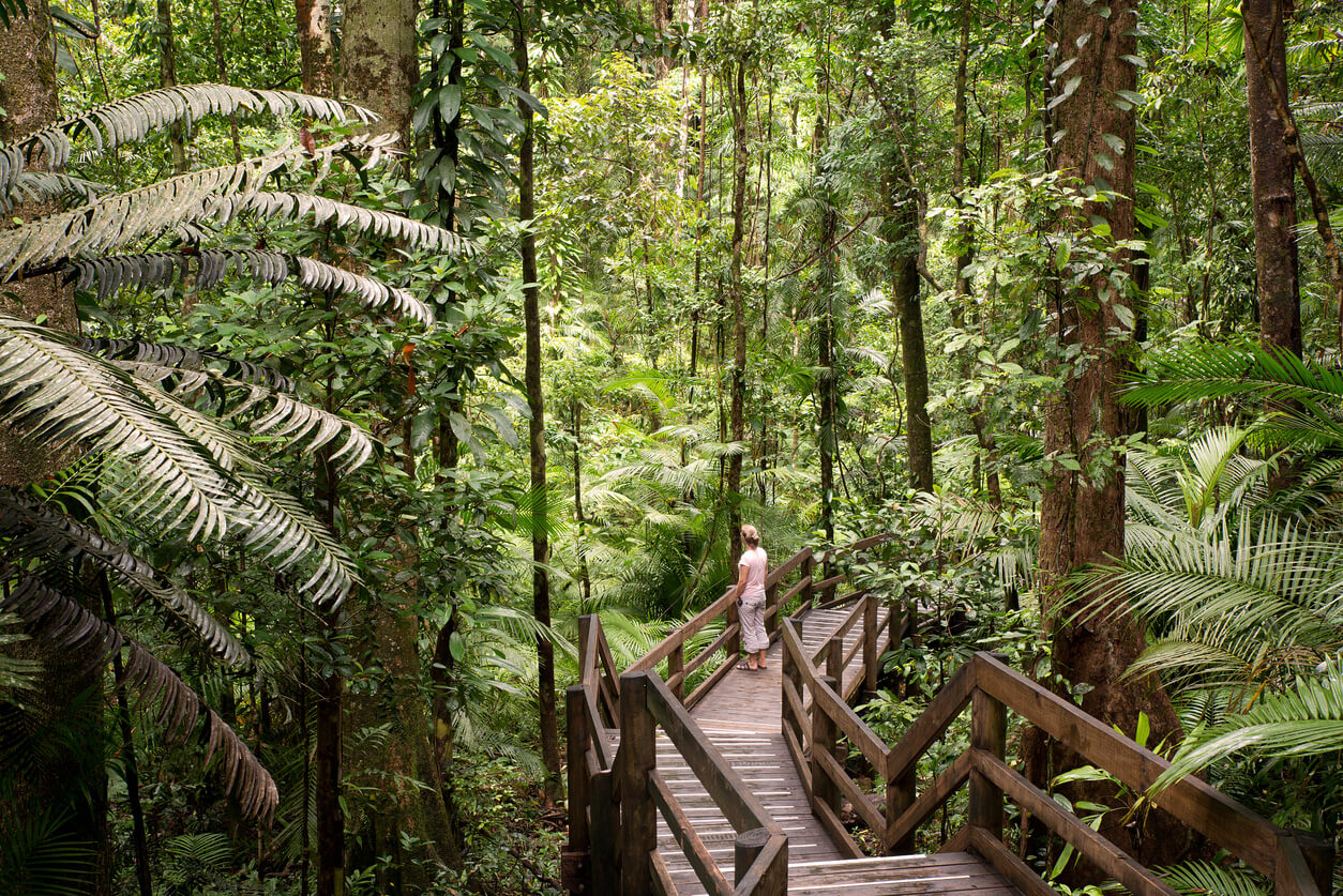 Estos Son Los 7 Parques Más Espectaculares De Australia