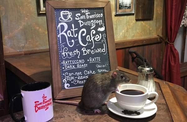 The Rat Cafe, San Francisco, Estados Unidos