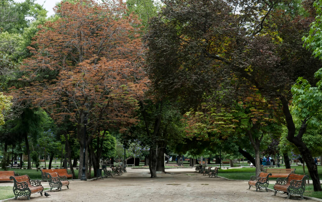 Parque Forestal de Santiago de Chile - Sueños Viajeros
