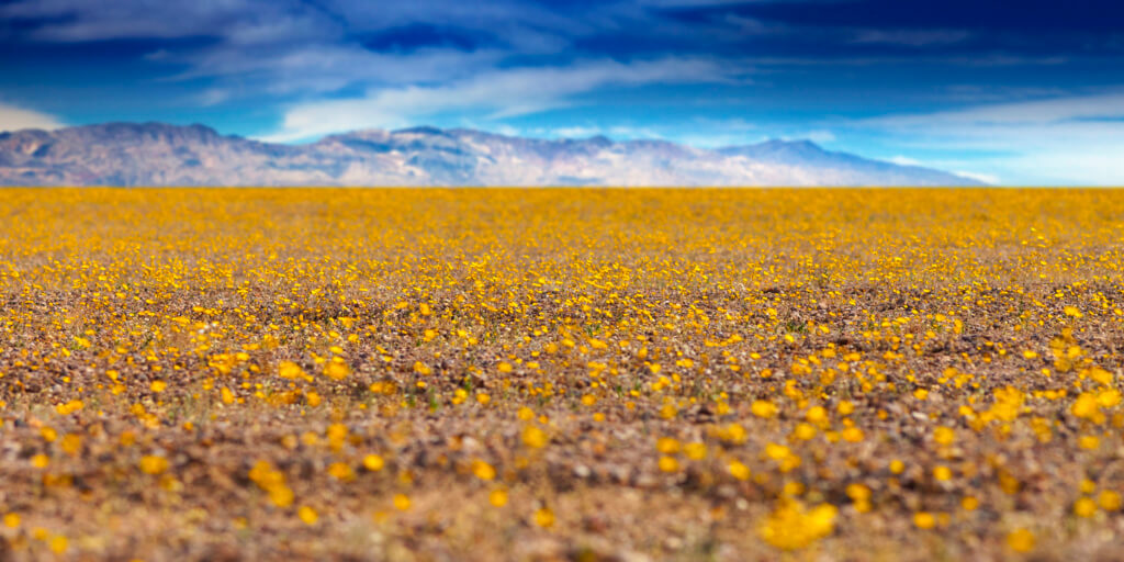 Death Valley National Park - Sueños viajeros