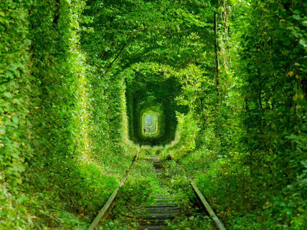 Túnel del amor - Sueños viajeros
