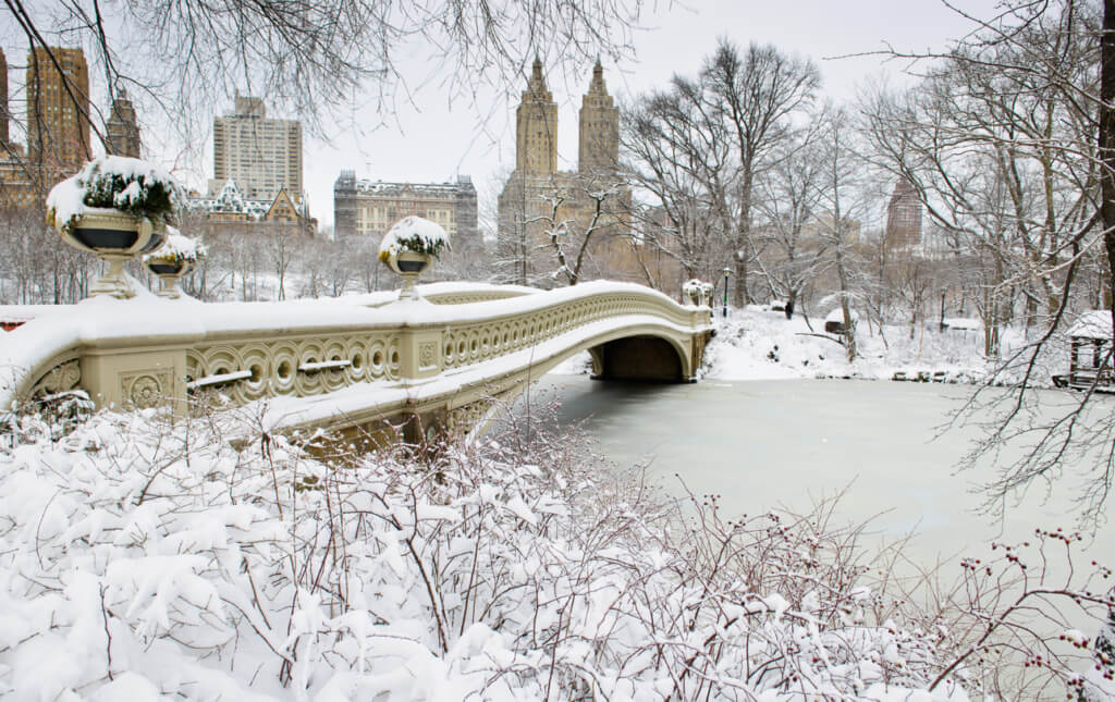 Central Park en invierno - Sueños viajeros