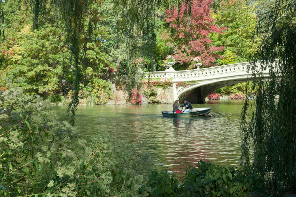 Central Park en verano - Sueños viajeros