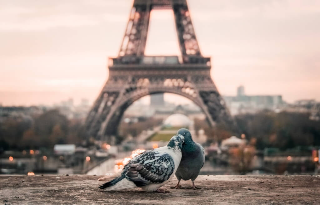 Torre Eiffel - Sueños viajeros