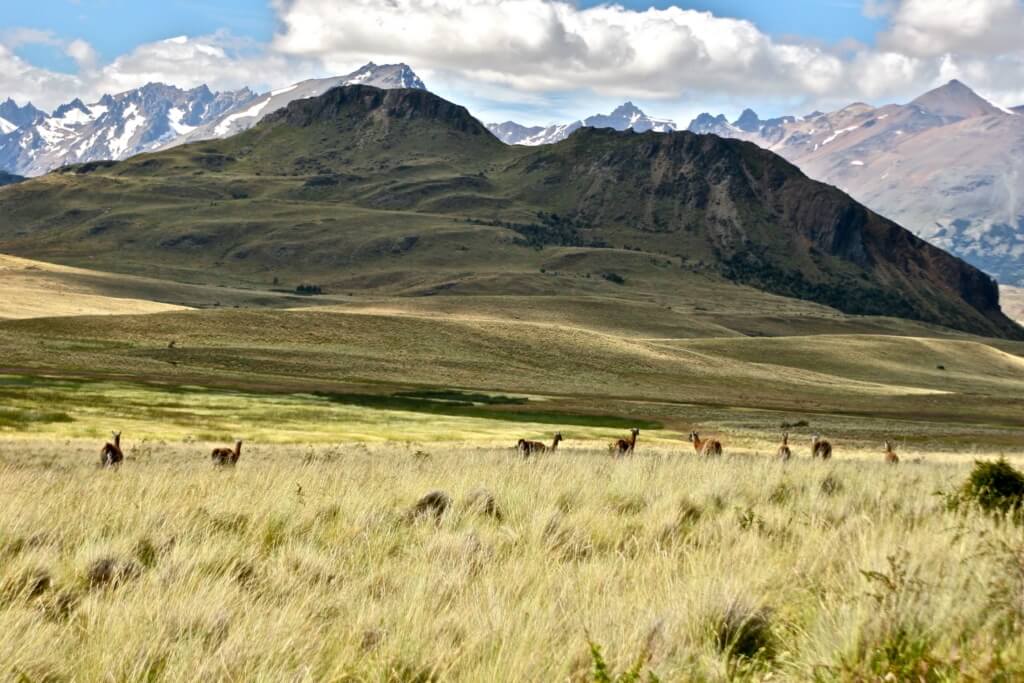 Parque Nacional Patagonia - Sueños Viajeros