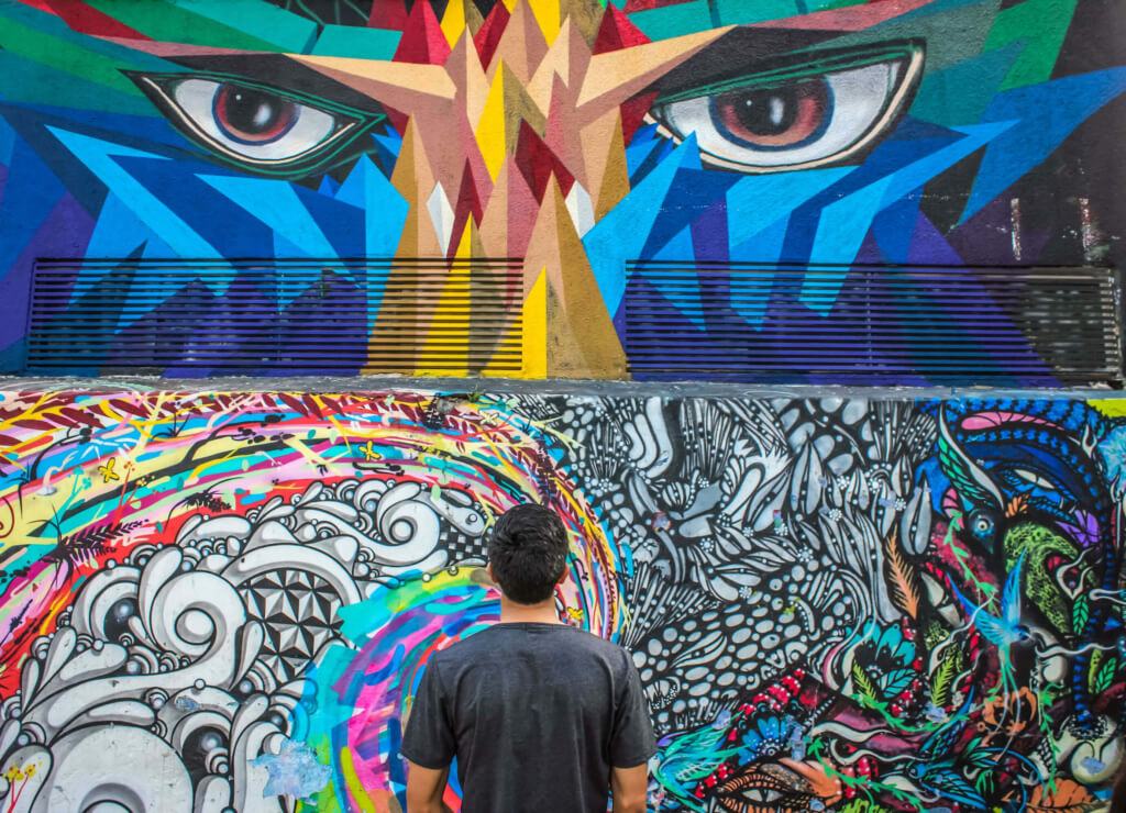 Hombre viendo arte urbano
